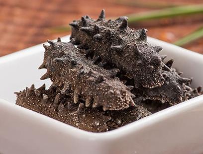 三乡海参回收商家报价