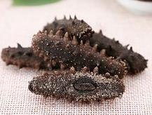 板芙专业海参回收商家报价