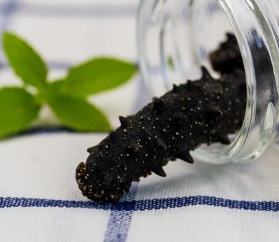 神湾专业海参回收商家报价