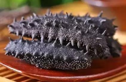 五桂山高价海参回收行情