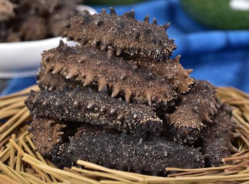 福田商家高价海参回收价格多少钱