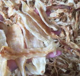 清远北海鱼胶回收价格多少钱