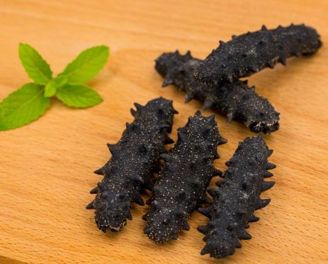 佛冈海参回收商家报价如何