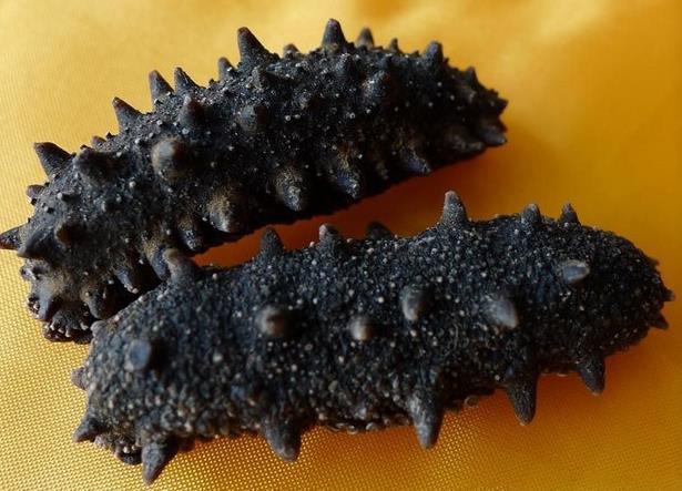 中山海参回收哪个店价格高