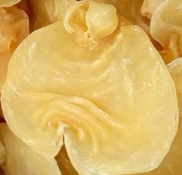 南头鱼胶回收上门商家报价