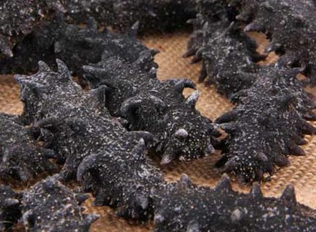 三角海参回收什么价格行情