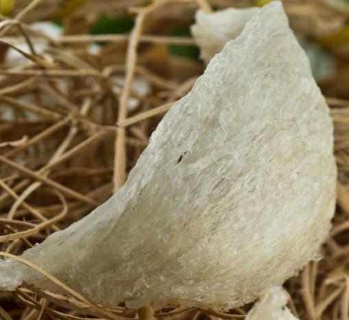 港口高价燕窝回收行情怎么样