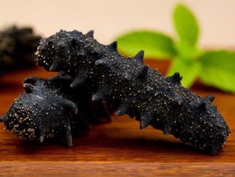 香洲海参回收商家地址