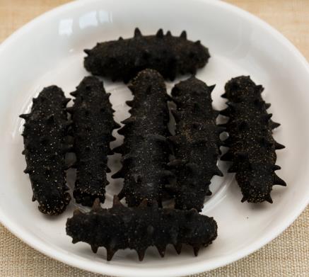 前山商家高价海参回收价格多少钱