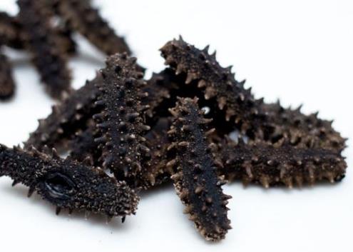 珠海海参回收上门行情价格