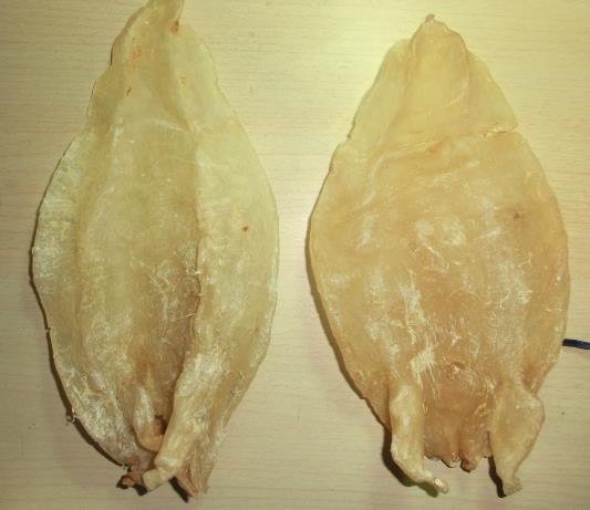 虎门鱼胶回收上门价格多少