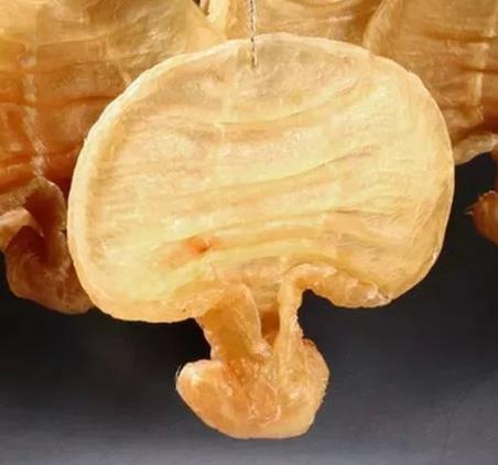 石排鱼胶回收商家报价多少钱