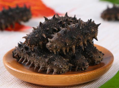 洪梅海参回收行情价格趋势