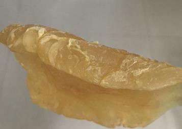 清溪鱼胶回收什么价格