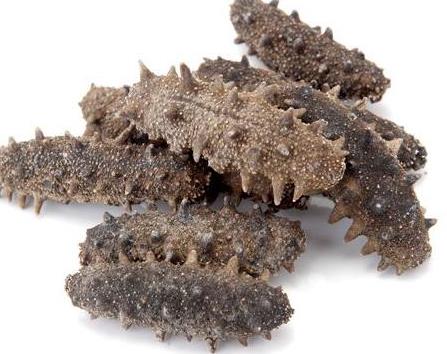 清溪商家海参回收什么行情