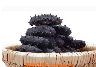 樟木头海参回收价格多少钱