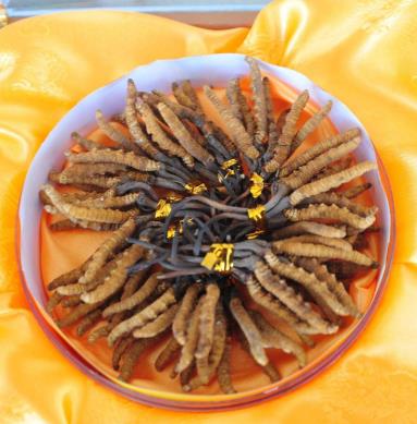 前山礼品回收什么价格