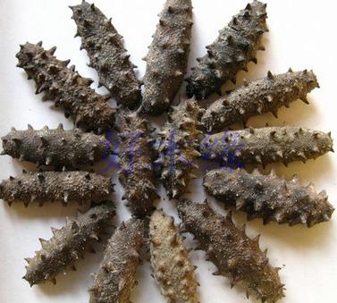 珠海礼品回收行情走向