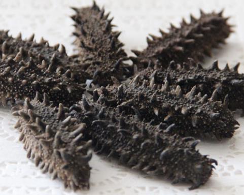 珠海礼品回收商家地址