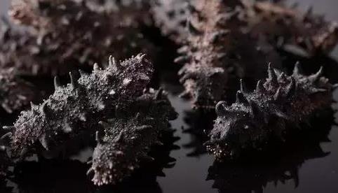 中山高价海参回收商家