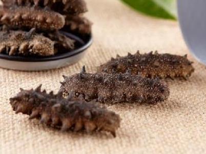 中山海参回收商家价格分析