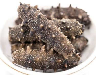 中山海参回收价格波动