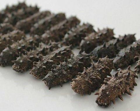 惠城海参回收上门商家