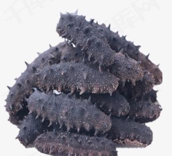 惠城海参回收专业商家