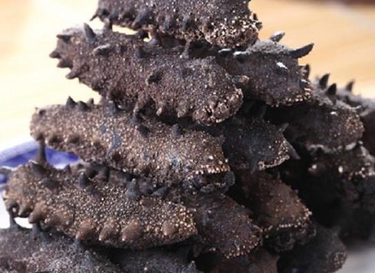 惠州高价海参回收商家