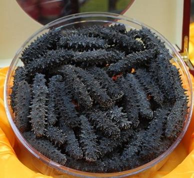 惠州海参回收商家报价多少钱