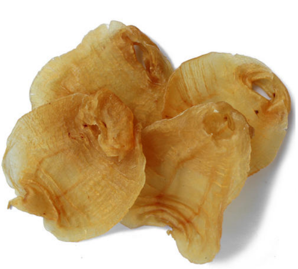 东莞鱼胶回收价格