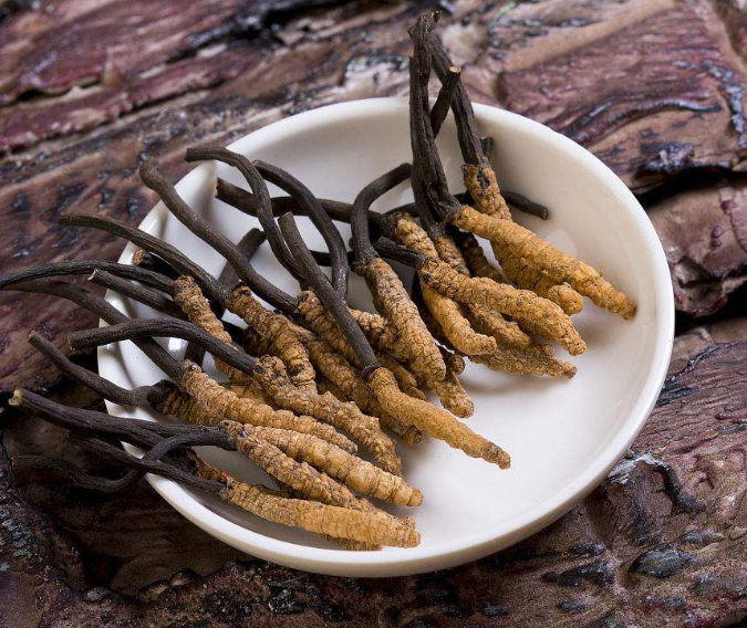 东莞虫草回收价格