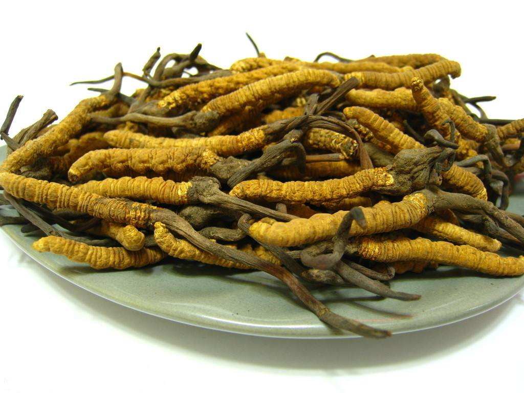 惠州免费上门虫草回收商家