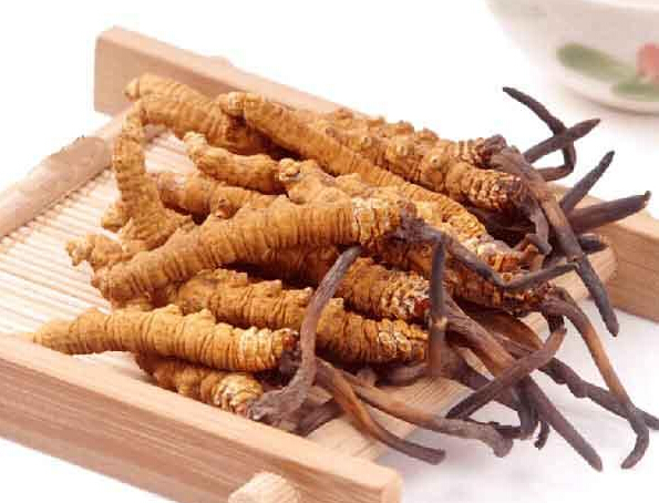 惠州一根虫草回收价格多少钱