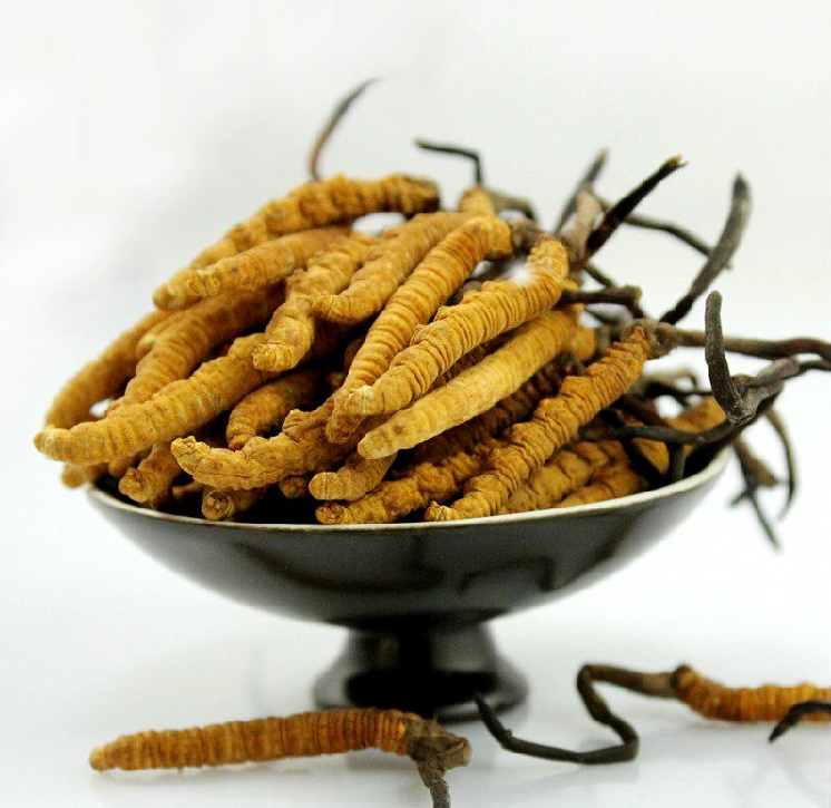 罗湖礼品回收商家报价