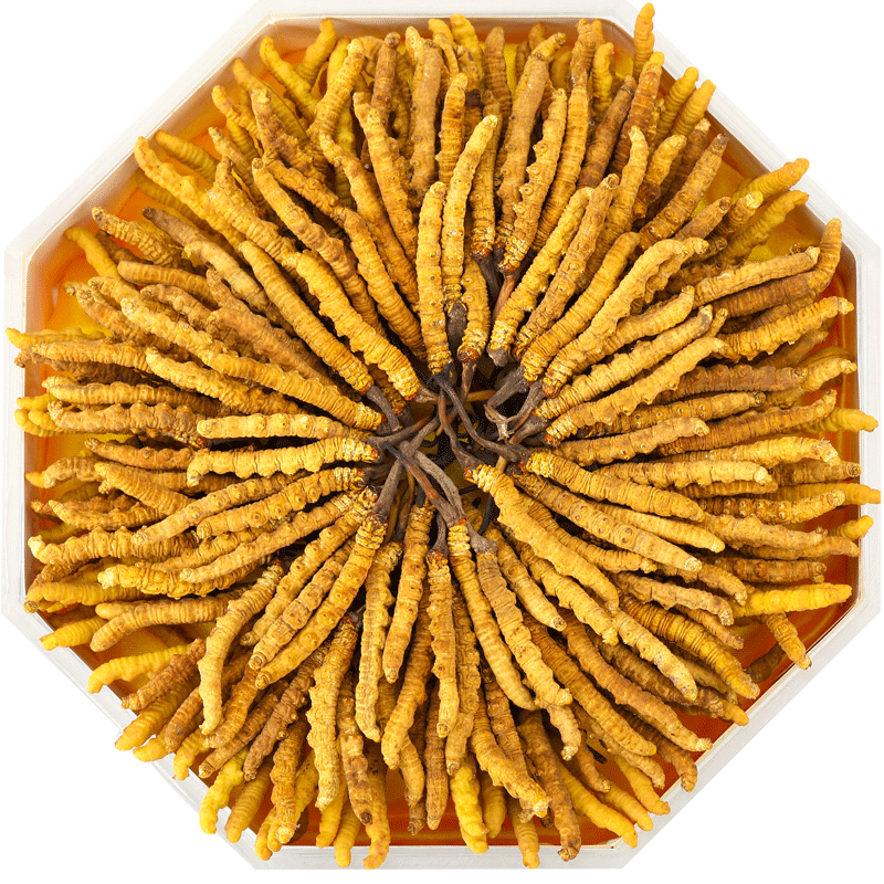 常平礼品回收实体店