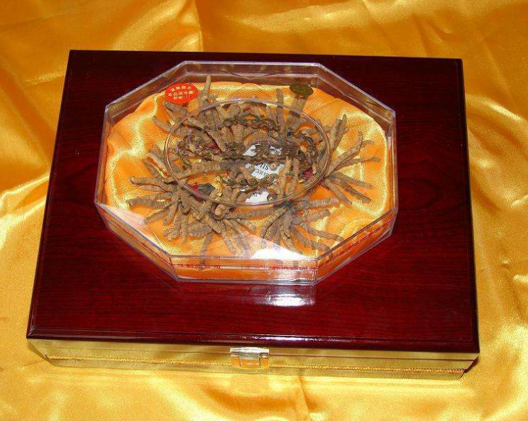 盐田虫草回收网