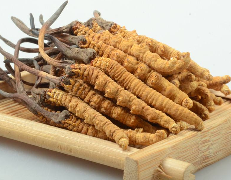 广州虫草回收价格