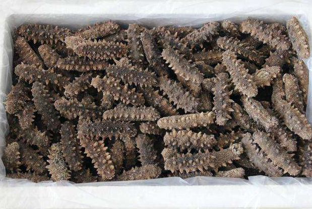 道滘礼品回收哪个地方价格高