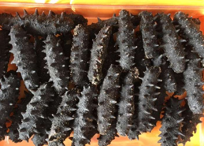 坪山礼品回收商家电话