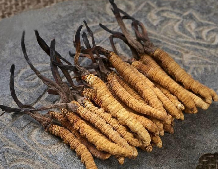 广州虫草回收多少钱