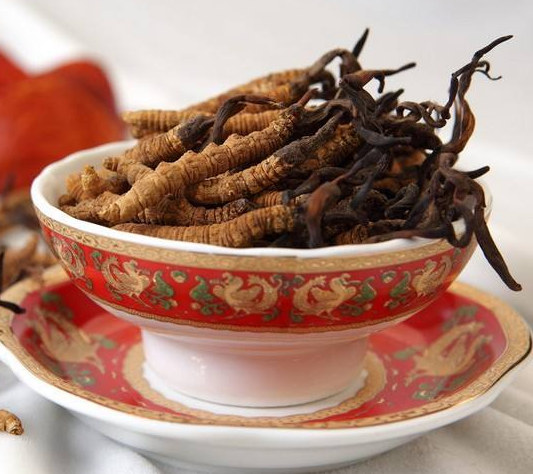 大鹏虫草回收网