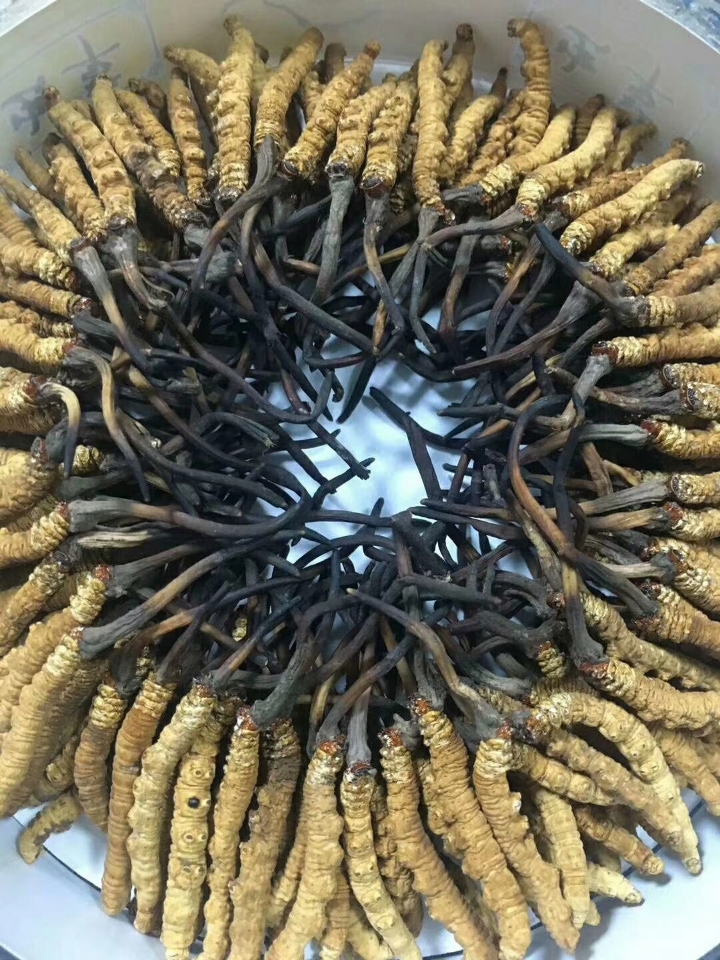 凤岗闲置礼品回收啥价格